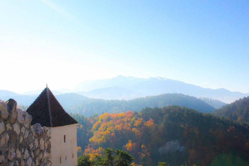 1402068_1425352477684239_302536104_o