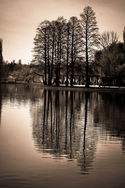 1559488_1483472771872209_589616637_o