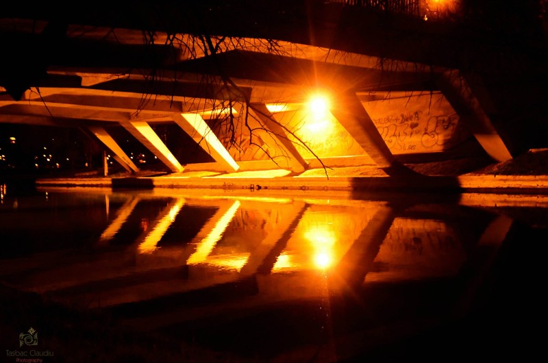 1780064_1482964738589679_193303672_o