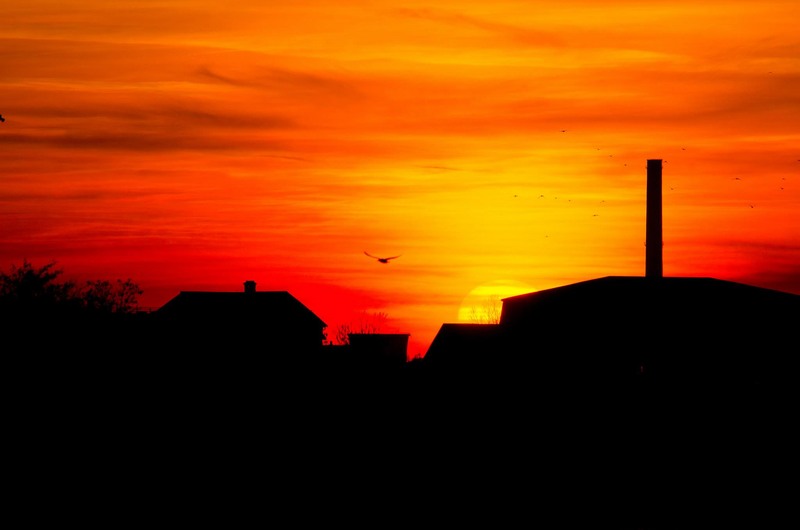 774200_1452552428297577_2032701707_o