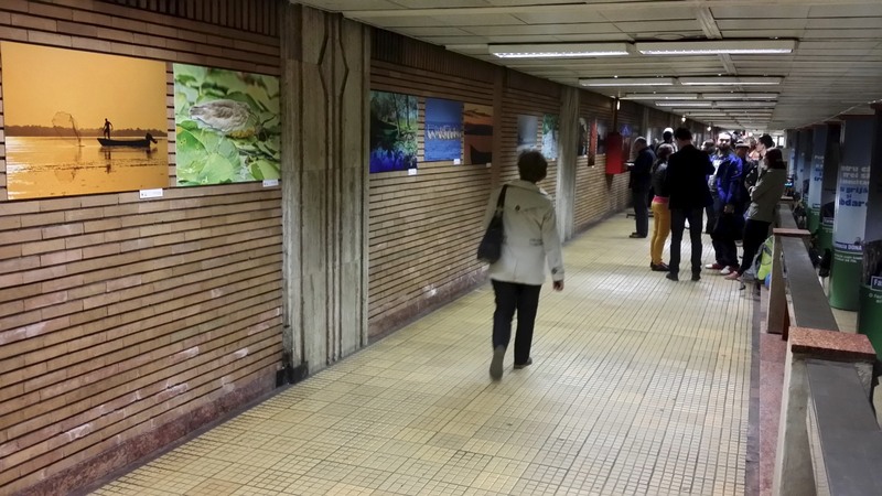 20140424_190044-custom