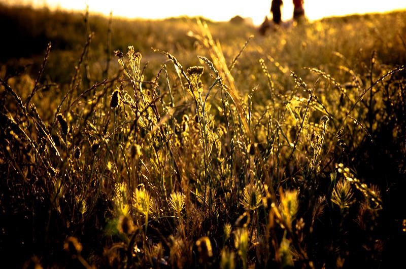 20090620_cgilmeanu_06