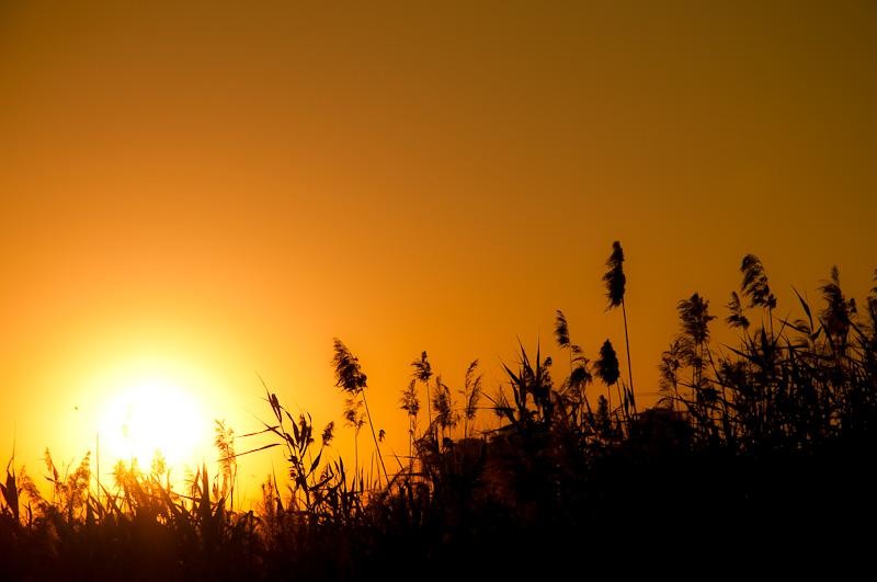 20090620_cgilmeanu_08