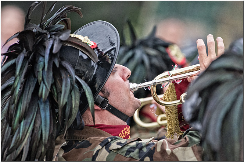 serbanvornicu_fanfare_24