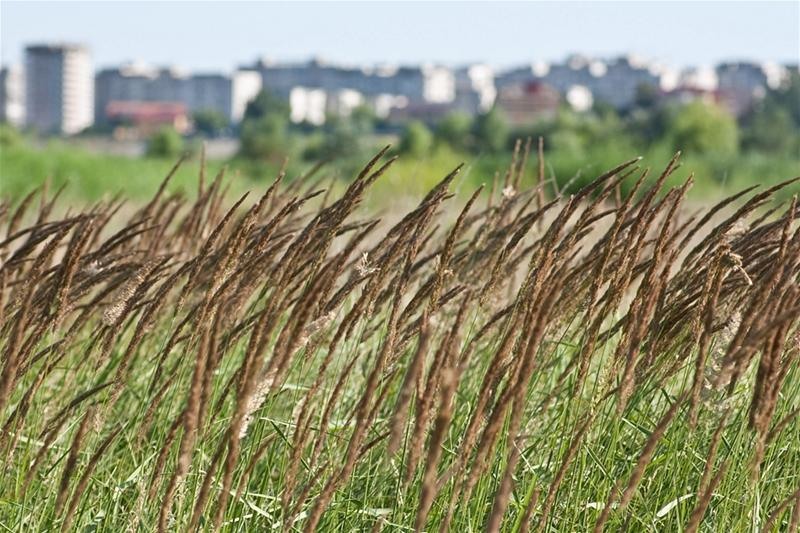 20090620_riosupescu_13