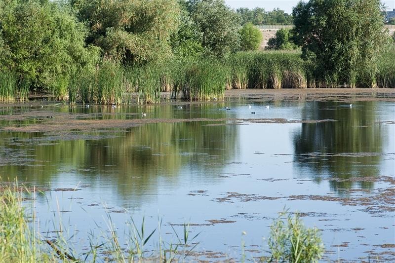 20090620_riosupescu_21