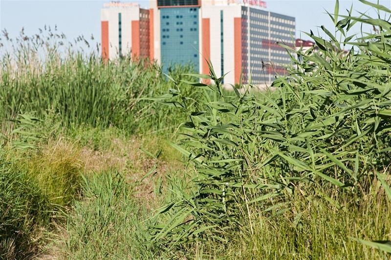 20090620_riosupescu_26