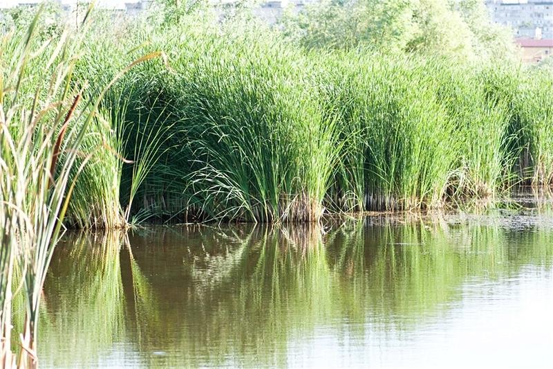 20090620_riosupescu_27