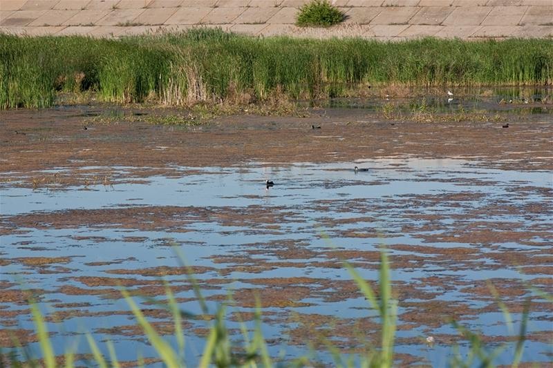 20090620_riosupescu_29