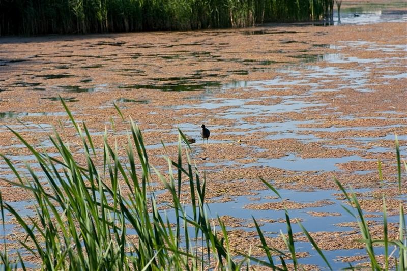 20090620_riosupescu_30