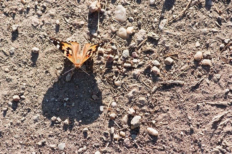 20090620_riosupescu_32