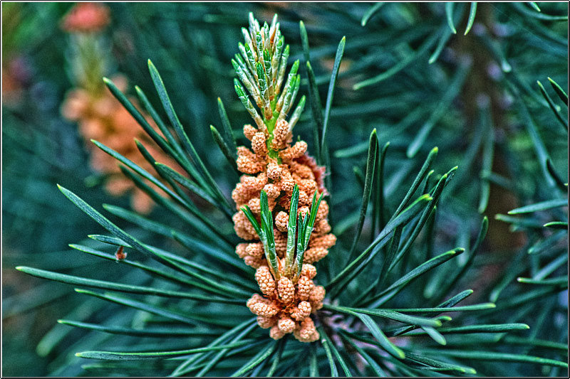 serbanvornicu_buc_nostalgic_04