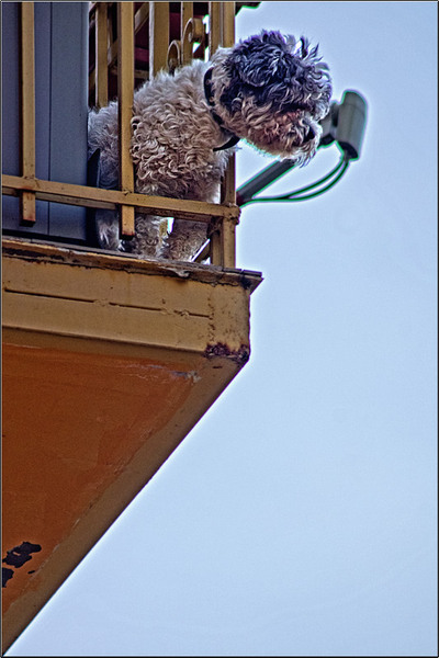 serbanvornicu_buc_nostalgic_15