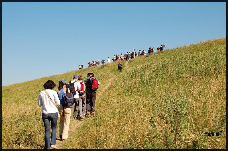 20090620_gmihaila_03