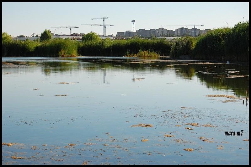 20090620_gmihaila_08