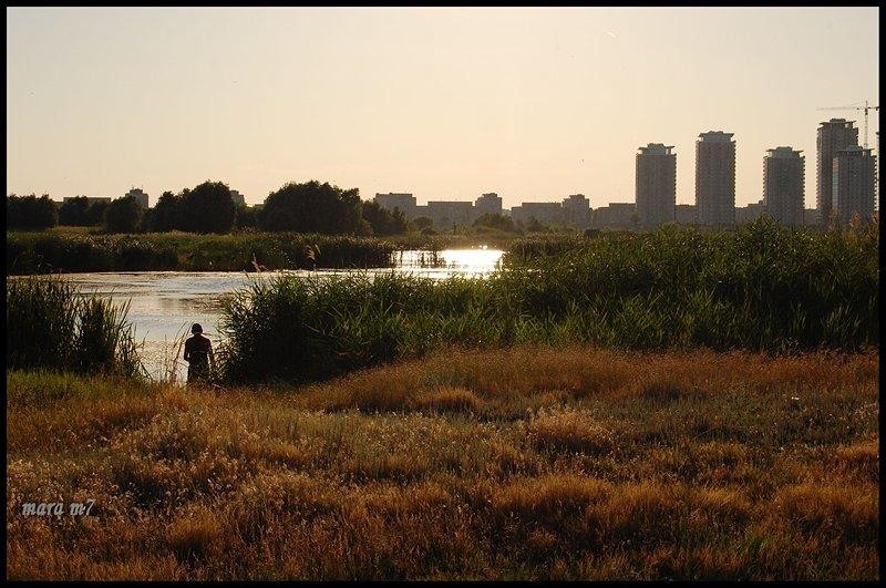 20090620_gmihaila_19