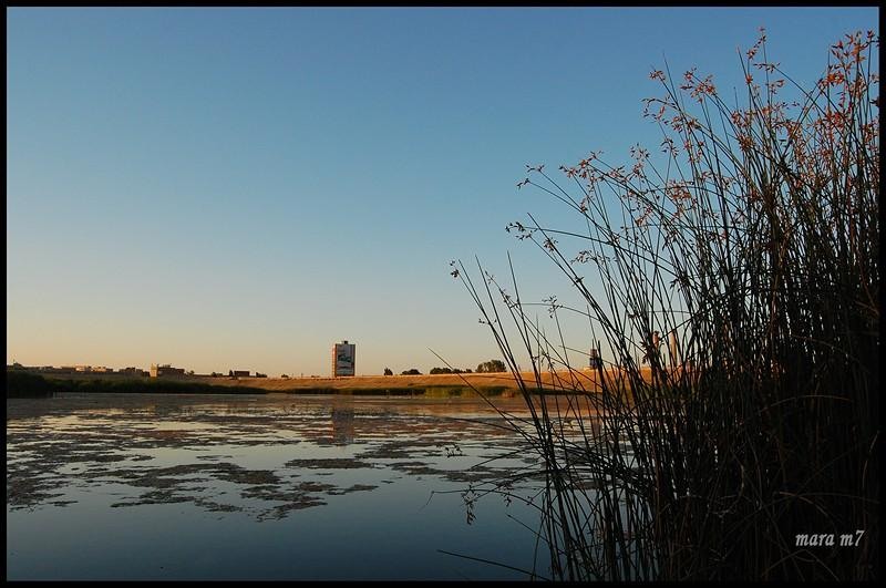 20090620_gmihaila_21