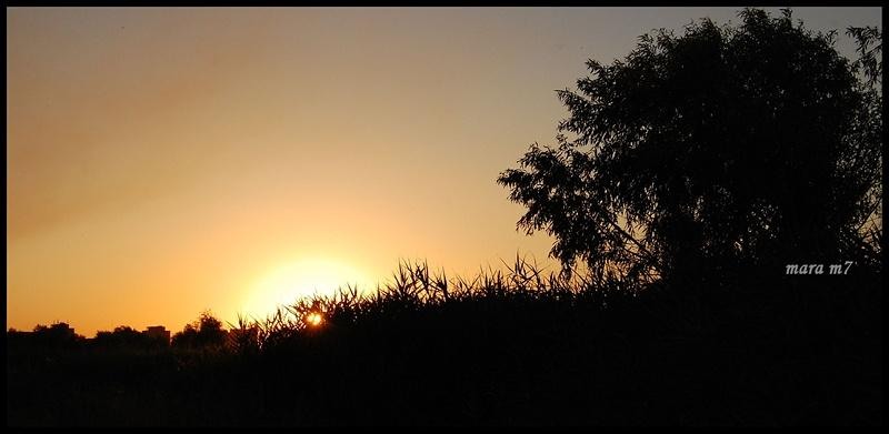 20090620_gmihaila_23