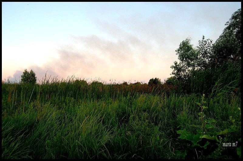 20090620_gmihaila_25