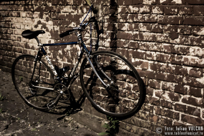 noaptea-galeriilor_2014_foto-by-iulian-vulcan-35