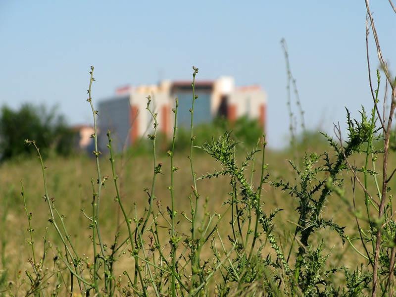 20090620_cmunteanu_04