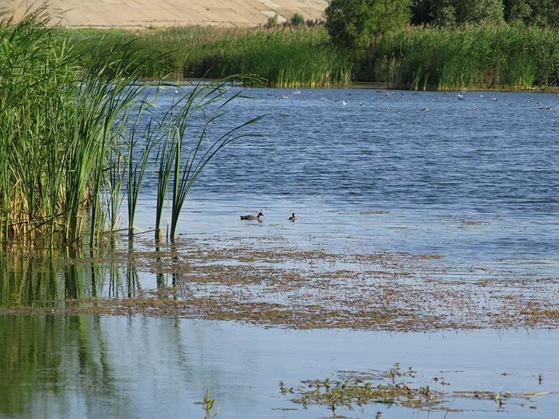 20090620_cmunteanu_11