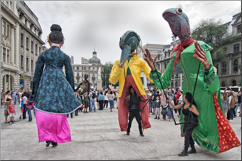 serbanvornicu_b-fit_20