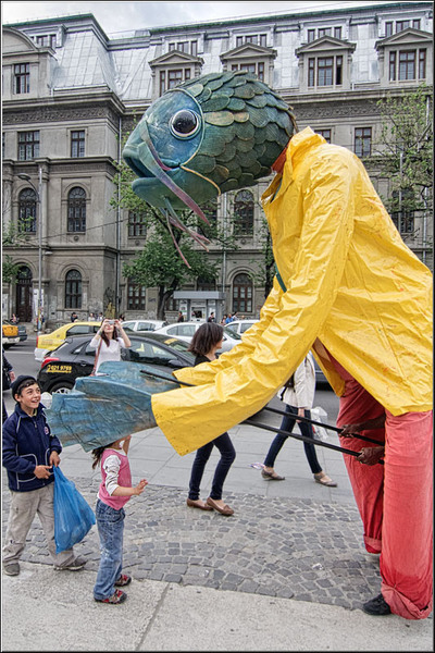 serbanvornicu_b-fit_22