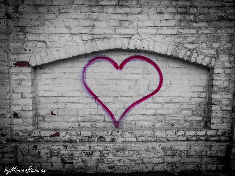 noaptea-galeriilor-23-mai-2014-5233071