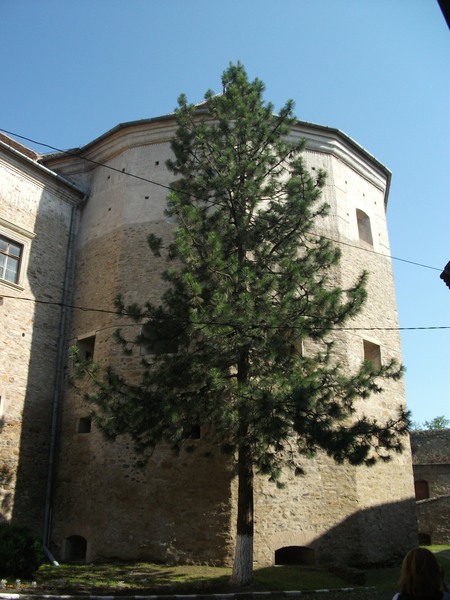 cetatea fagarasului