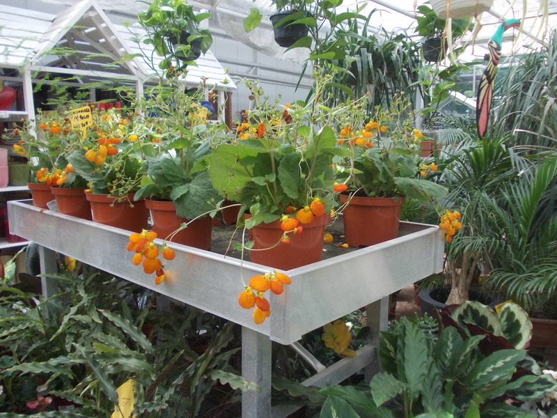 street-delivery-2014-196