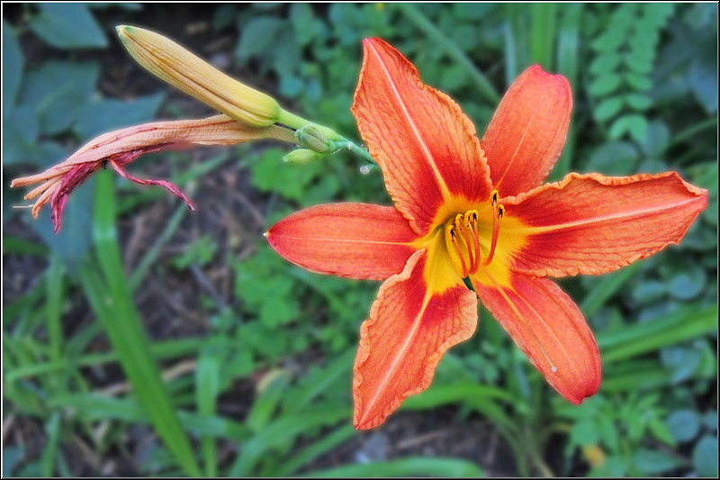 serbanvornicu_buc_ieriazi_01