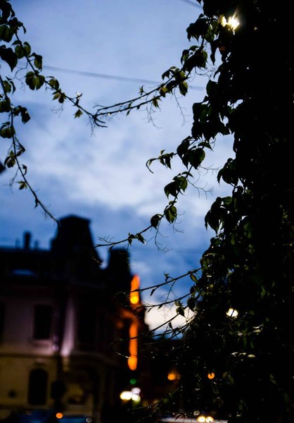 10489914_652945201465622_7607991421978649278_n