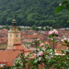 brasov12