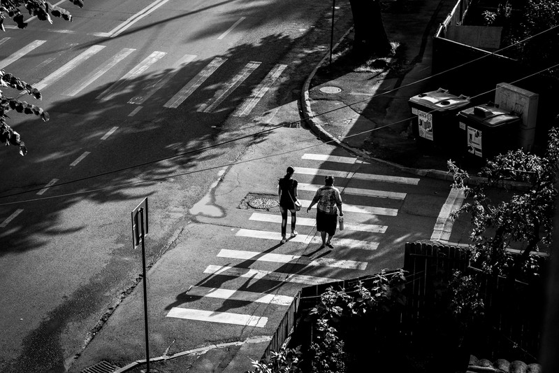 De la Jiului la Miorita