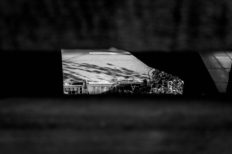 De la Jiului la Miorita