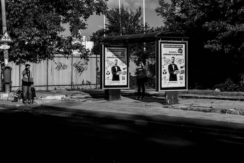 De la Jiului la Miorita