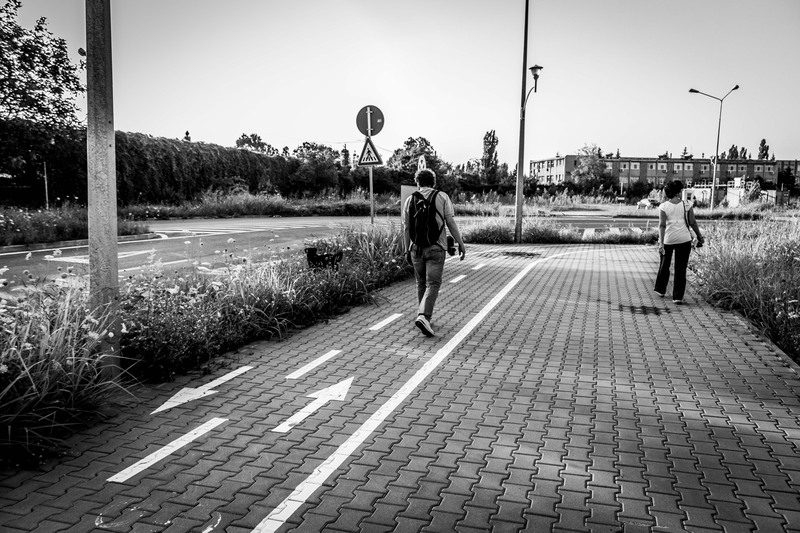 De la Jiului la Miorita