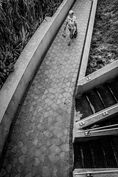 De la Jiului la Miorita