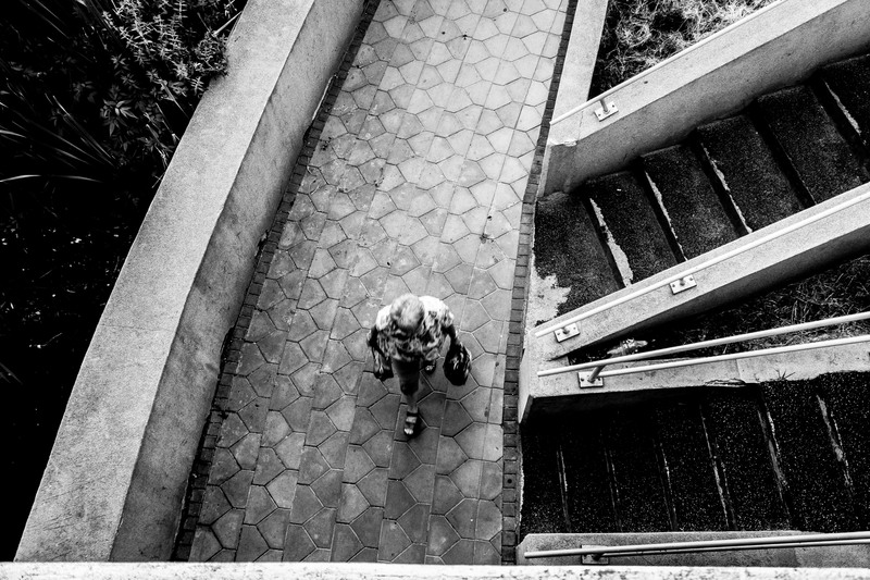 De la Jiului la Miorita