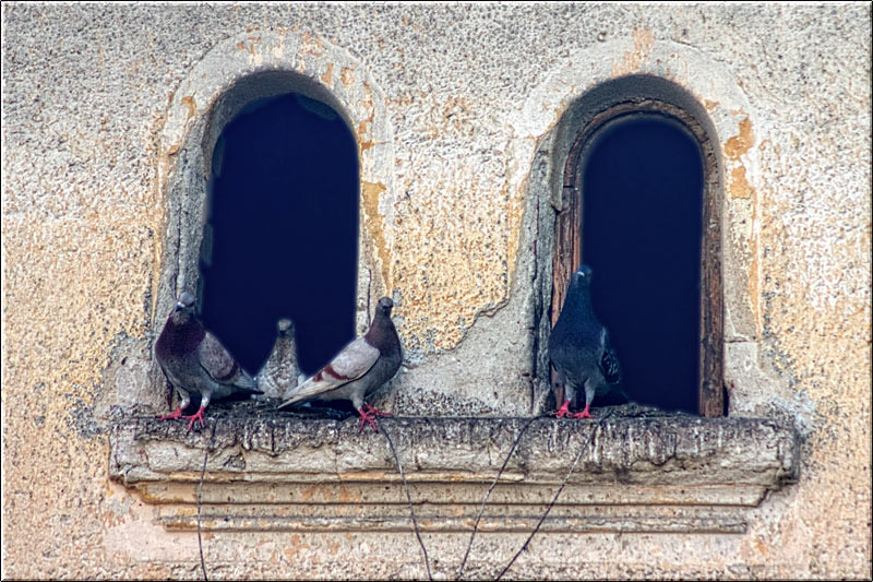 serbanvornicu_nordulcapitalei_02