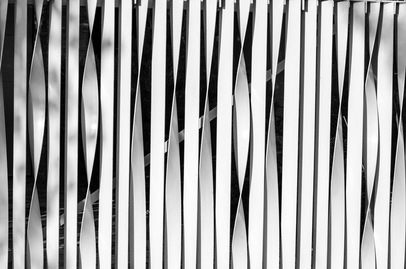 10452908_790341410997545_5756856956874068527_o