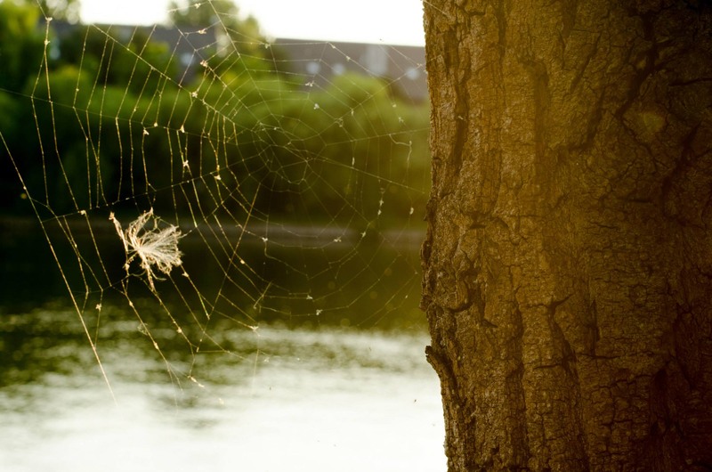 10495704_790341414330878_4749301177072630739_o