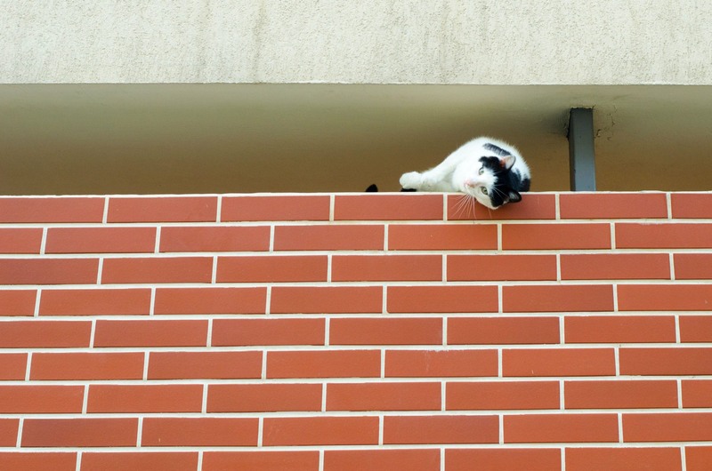 10520511_790341450997541_7573317248267143815_o