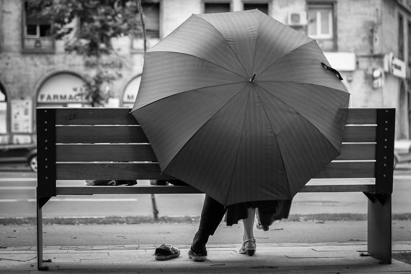 10498553_481918105276354_11754506697330471_o