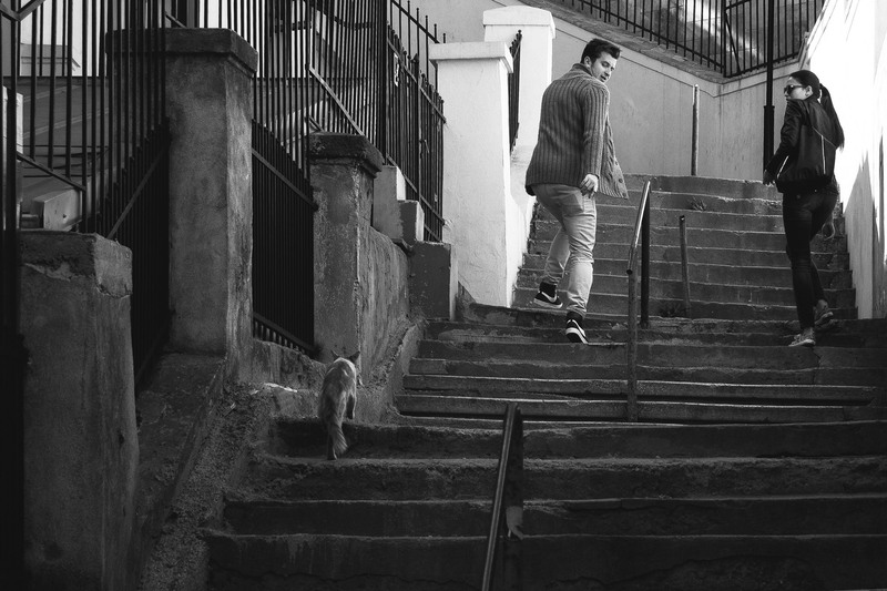 1495925_433536816781150_640102488_o