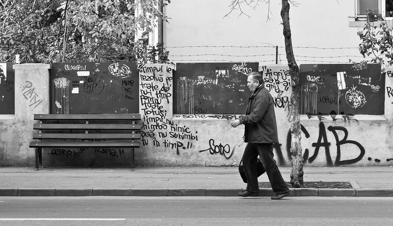 1496008_386636464804519_372221519_o