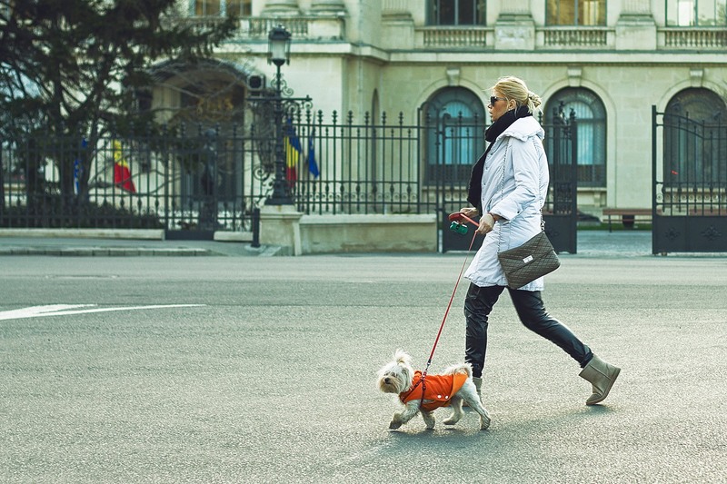 1654593_425683344233164_472206575_o