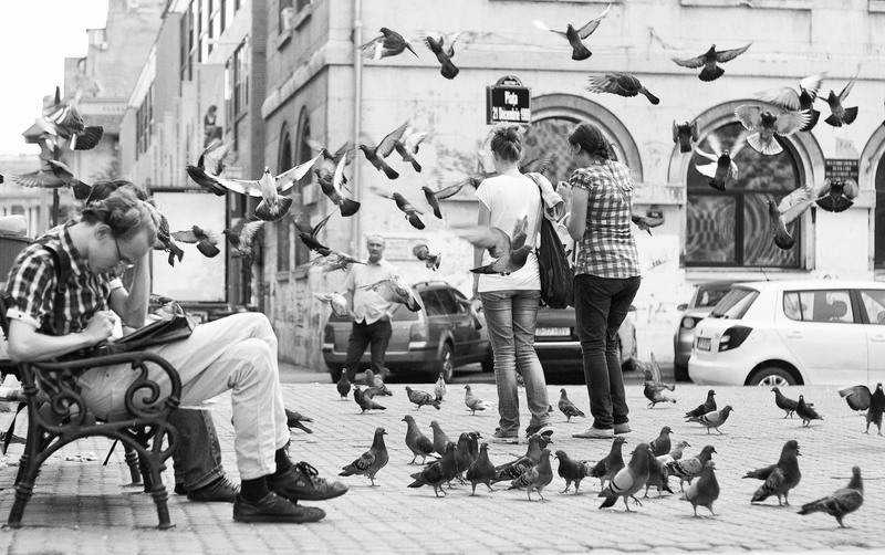 10397304_482596341875197_1751123391885353823_o