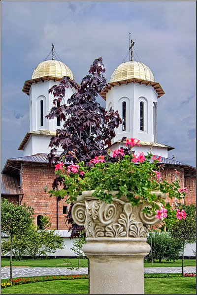 serbanvornicu_i-a-zi_08